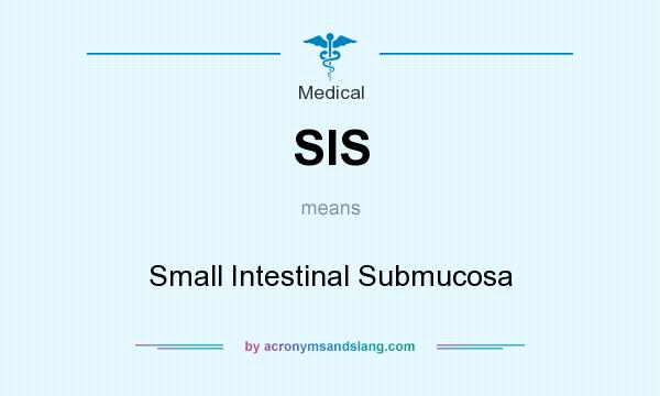 What does SIS mean? It stands for Small Intestinal Submucosa