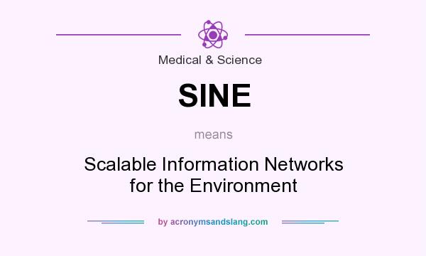 What does SINE mean? It stands for Scalable Information Networks for the Environment