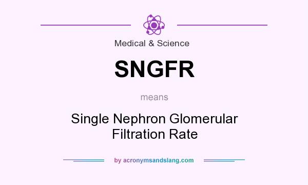 What does SNGFR mean? It stands for Single Nephron Glomerular Filtration Rate