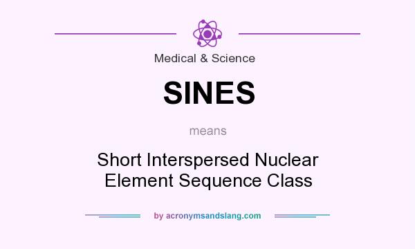 What does SINES mean? It stands for Short Interspersed Nuclear Element Sequence Class