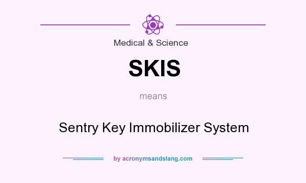 What does SKIS mean? It stands for Sentry Key Immobilizer System