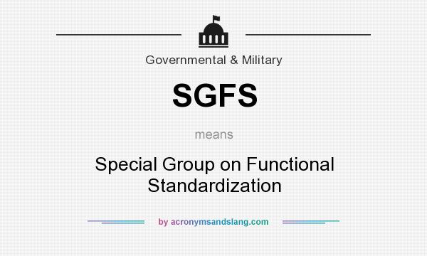 What does SGFS mean? It stands for Special Group on Functional Standardization