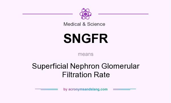What does SNGFR mean? It stands for Superficial Nephron Glomerular Filtration Rate