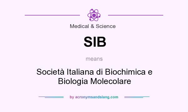 What does SIB mean? It stands for Società Italiana di Biochimica e Biologia Molecolare