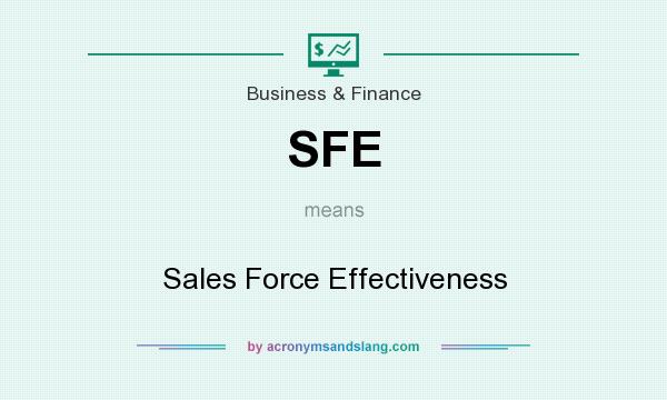 What does SFE mean? It stands for Sales Force Effectiveness