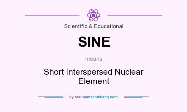 What does SINE mean? It stands for Short Interspersed Nuclear Element