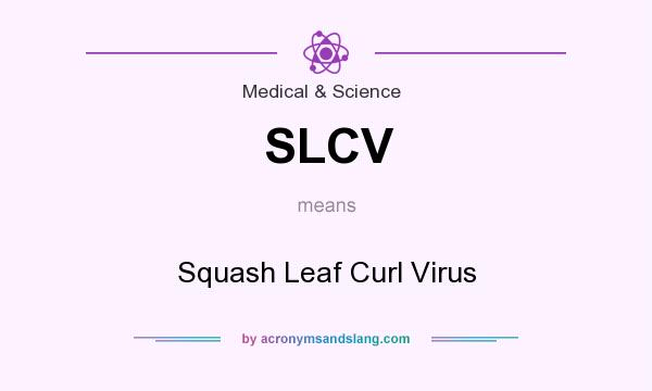 What does SLCV mean? It stands for Squash Leaf Curl Virus