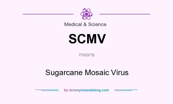 What does SCMV mean? It stands for Sugarcane Mosaic Virus