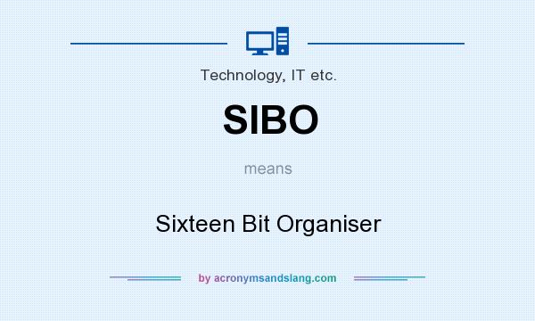 What does SIBO mean? It stands for Sixteen Bit Organiser