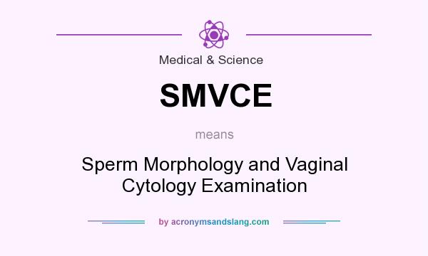 What does SMVCE mean? It stands for Sperm Morphology and Vaginal Cytology Examination