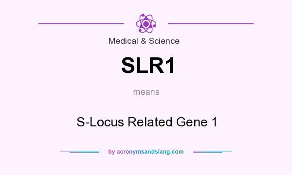What does SLR1 mean? It stands for S-Locus Related Gene 1