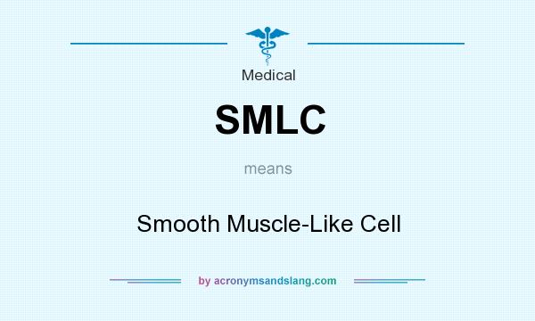 What does SMLC mean? It stands for Smooth Muscle-Like Cell