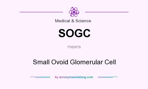 What does SOGC mean? It stands for Small Ovoid Glomerular Cell