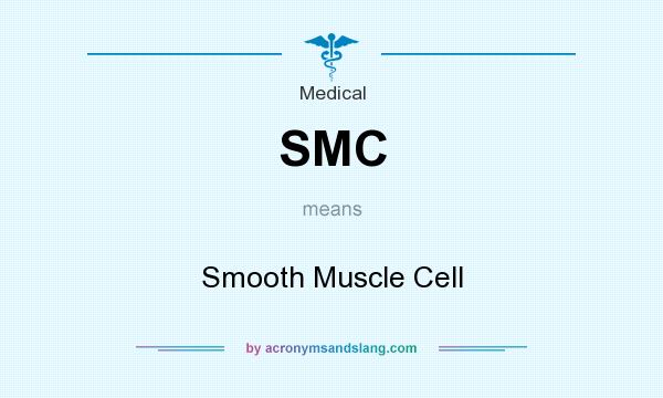 What does SMC mean? It stands for Smooth Muscle Cell