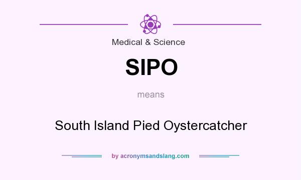 What does SIPO mean? It stands for South Island Pied Oystercatcher