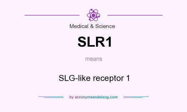 What does SLR1 mean? It stands for SLG-like receptor 1