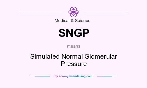 What does SNGP mean? It stands for Simulated Normal Glomerular Pressure