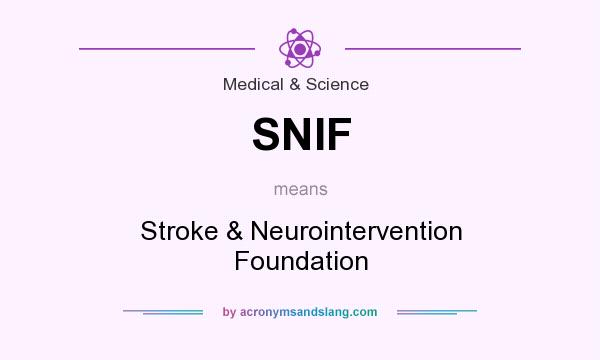 What does SNIF mean? It stands for Stroke & Neurointervention Foundation
