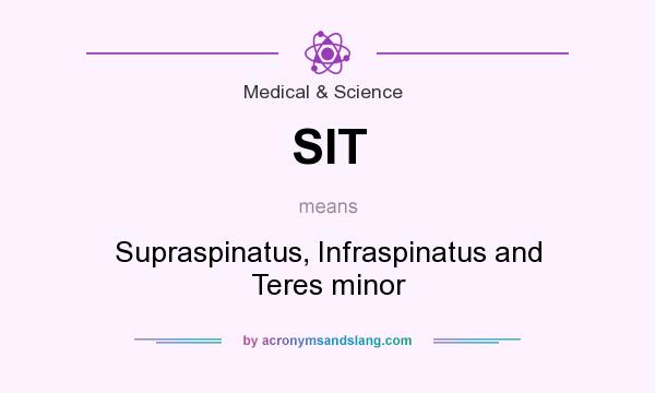What does SIT mean? It stands for Supraspinatus, Infraspinatus and Teres minor