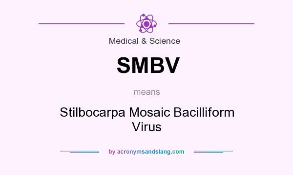What does SMBV mean? It stands for Stilbocarpa Mosaic Bacilliform Virus