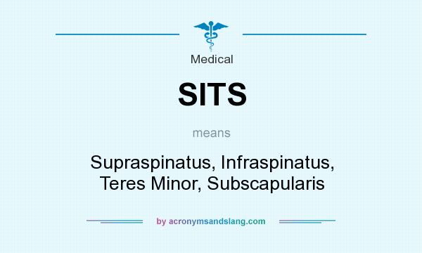 What does SITS mean? It stands for Supraspinatus, Infraspinatus, Teres Minor, Subscapularis