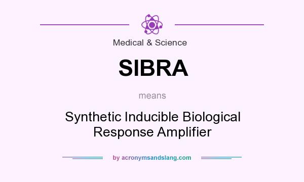 What does SIBRA mean? It stands for Synthetic Inducible Biological Response Amplifier