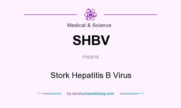 What does SHBV mean? It stands for Stork Hepatitis B Virus