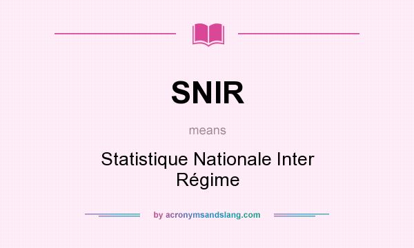 What does SNIR mean? It stands for Statistique Nationale Inter Régime