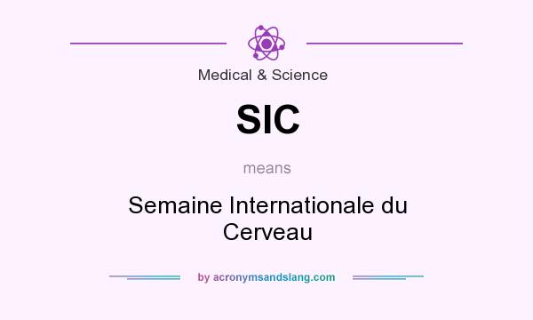 What does SIC mean? It stands for Semaine Internationale du Cerveau