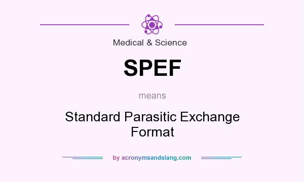 What does SPEF mean? It stands for Standard Parasitic Exchange Format