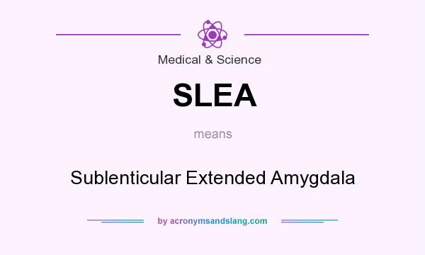 What does SLEA mean? It stands for Sublenticular Extended Amygdala