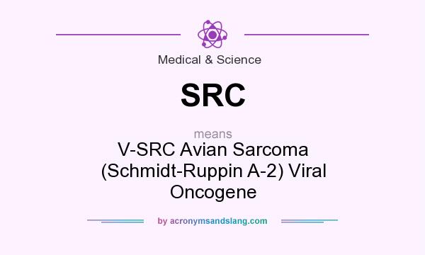 What does SRC mean? It stands for V-SRC Avian Sarcoma (Schmidt-Ruppin A-2) Viral Oncogene