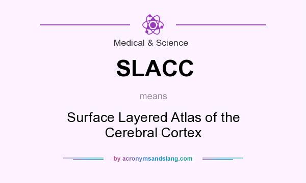 What does SLACC mean? It stands for Surface Layered Atlas of the Cerebral Cortex