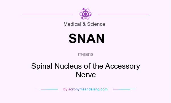 What does SNAN mean? It stands for Spinal Nucleus of the Accessory Nerve