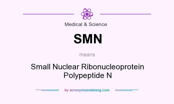 What does SMN mean? It stands for Small Nuclear Ribonucleoprotein Polypeptide N