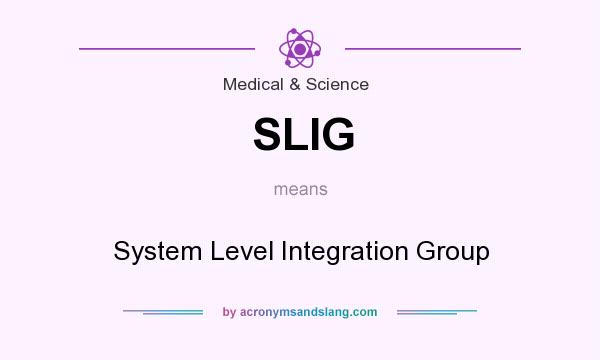 What does SLIG mean? It stands for System Level Integration Group