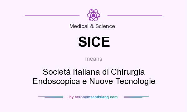 What does SICE mean? It stands for Società Italiana di Chirurgia Endoscopica e Nuove Tecnologie