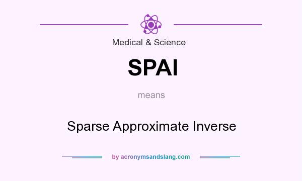 What does SPAI mean? It stands for Sparse Approximate Inverse