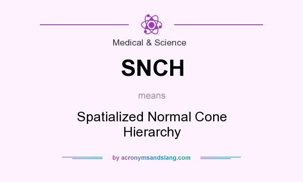 What does SNCH mean? It stands for Spatialized Normal Cone Hierarchy