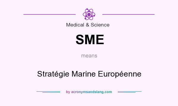 What does SME mean? It stands for Stratégie Marine Européenne