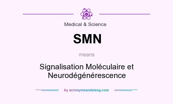 What does SMN mean? It stands for Signalisation Moléculaire et Neurodégénérescence