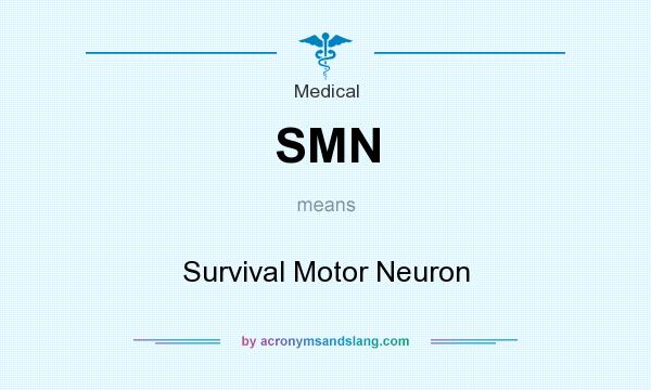 What does SMN mean? It stands for Survival Motor Neuron