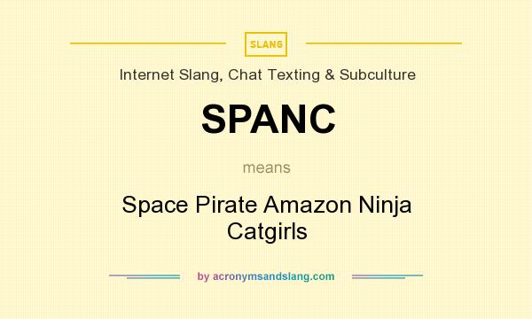What does SPANC mean? It stands for Space Pirate Amazon Ninja Catgirls