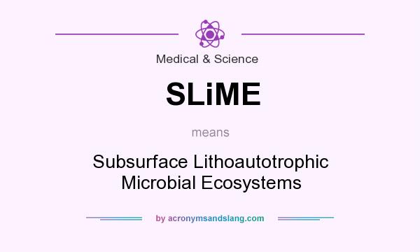 What does SLiME mean? It stands for Subsurface Lithoautotrophic Microbial Ecosystems