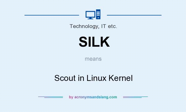 What does SILK mean? It stands for Scout in Linux Kernel