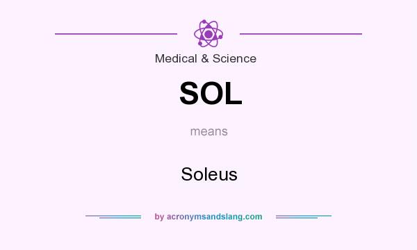 What does SOL mean? It stands for Soleus