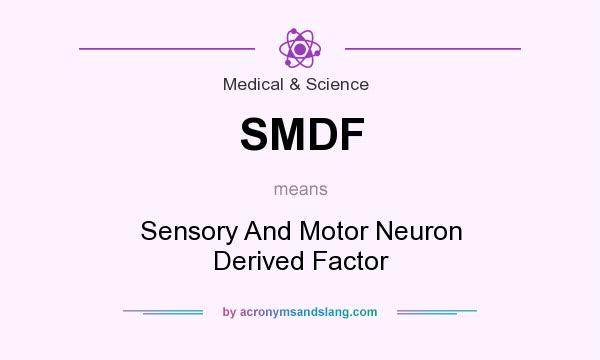 What does SMDF mean? It stands for Sensory And Motor Neuron Derived Factor