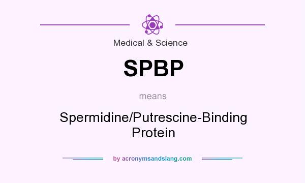 What does SPBP mean? It stands for Spermidine/Putrescine-Binding Protein
