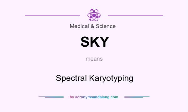 What does SKY mean? It stands for Spectral Karyotyping