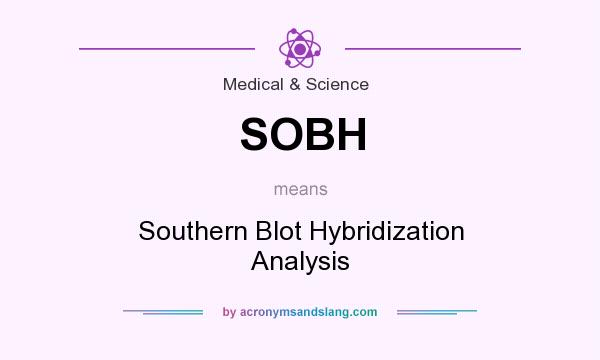 What does SOBH mean? It stands for Southern Blot Hybridization Analysis